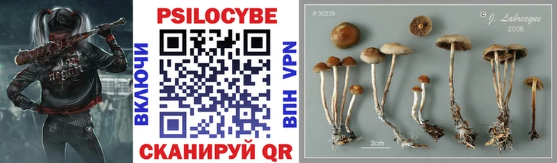 Псилоцибиновые грибы Magic Shrooms  где продают   Электросталь 
