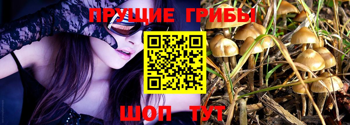 Электросталь  где купить   Вход с VPN  Галлюциногенные грибы GOLDEN TEACHER 